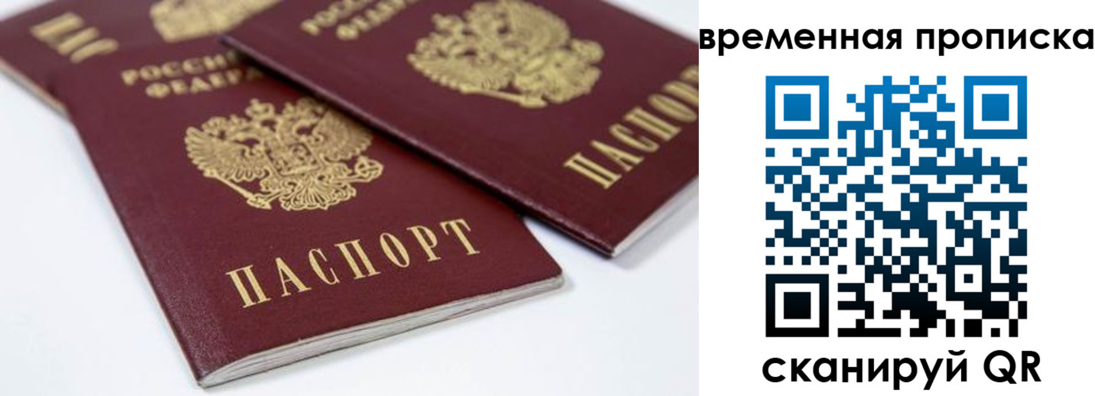 прописка для школы в Пензенской области